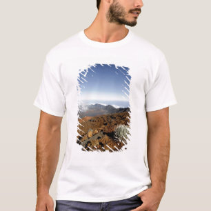 T-shirts Silversword no cume da cratera Haleakala de perto