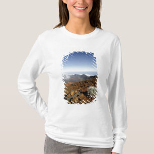 T-shirts Silversword no cume da cratera Haleakala de perto
