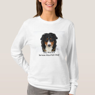 T-shirts Sim, este é um cão de montanha de Bernese!