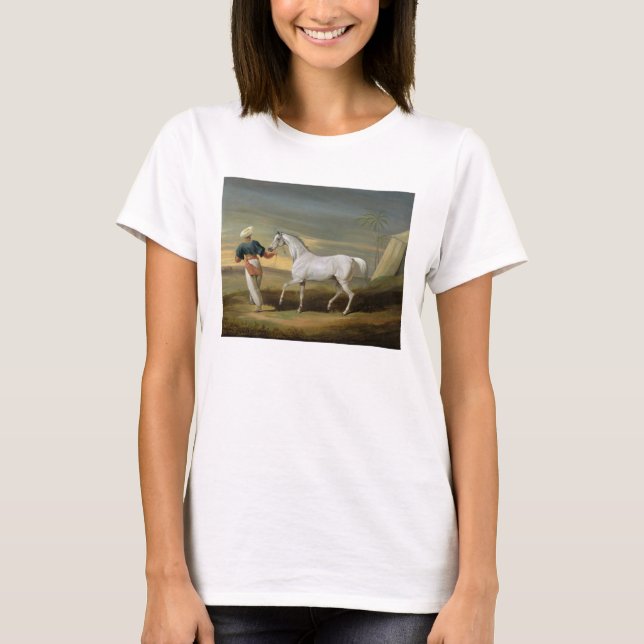 T-shirts Sinal, uma cinza árabe, com um Groom no Deserto (o (Frente)