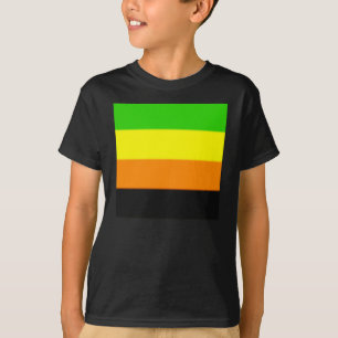 T-shirts Sinalizador do Orgulho Aromântico de Queda