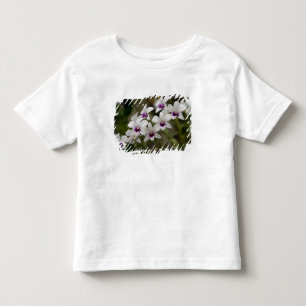 T-shirts Singapura (Sânscrito para Cidade do Leão). Naciona