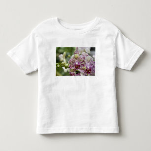 T-shirts Singapura (Sânscrito para Cidade do Leão). Naciona