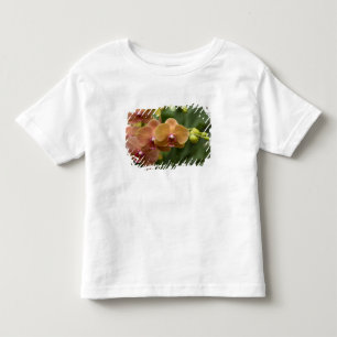 T-shirts Singapura (Sânscrito para Cidade do Leão). Naciona