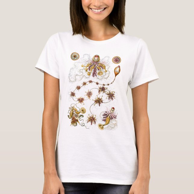 T-shirts Siphonophorae Ernst Haeckel Fine Art (Frente)