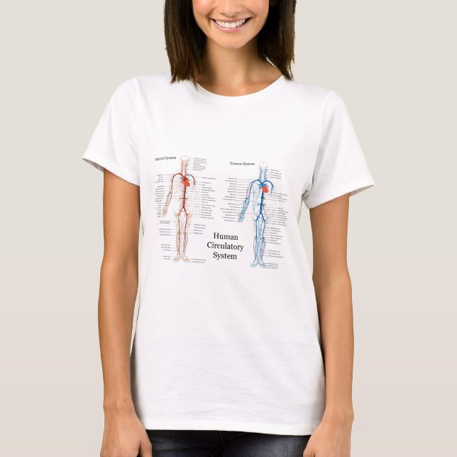 T-shirts Sistema circulatório humano das artérias e das (Frente)