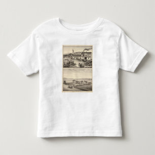 T-shirts Smyth, propriedades de Adams