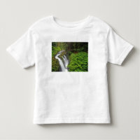 Sol Duc Falls in Olimpiadas National Park em 2