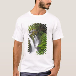 T-shirts Sol Duc Falls no Parque Nacional Olímpico em