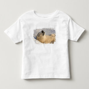 T-shirts Soneca do Urso Polar
