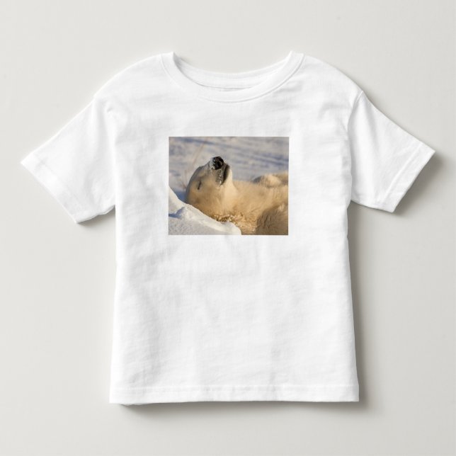 T-shirts Soneca do Urso Polar (Frente)