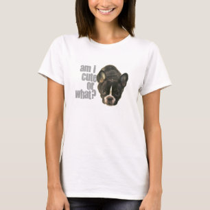 T-shirts sou eu bonito ou que?