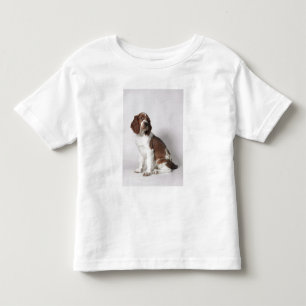 T-shirts Spaniel de Springer