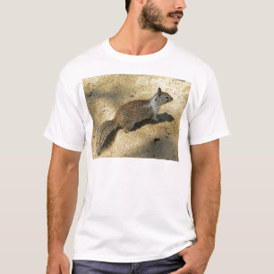 T-shirts Squirrell