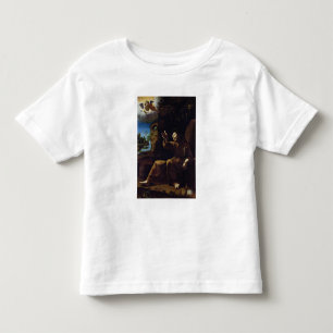 T-shirts St Francis de Assisi consolou por um anjo