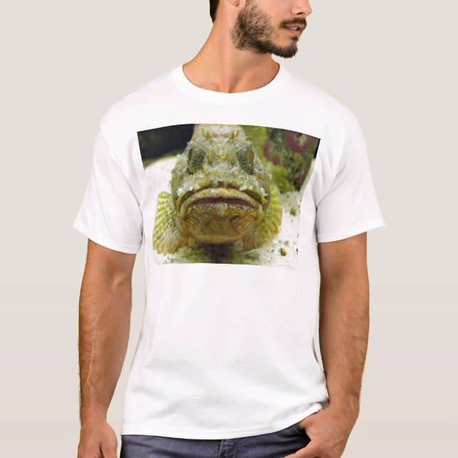 T-shirts Stonefish (Frente)