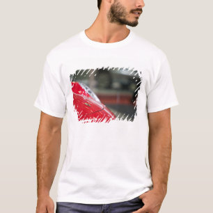 T-shirts SUIÇA, GENEBRA: 75.º Ano de Genebra Auto 2