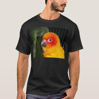 T-shirts Sun Conure