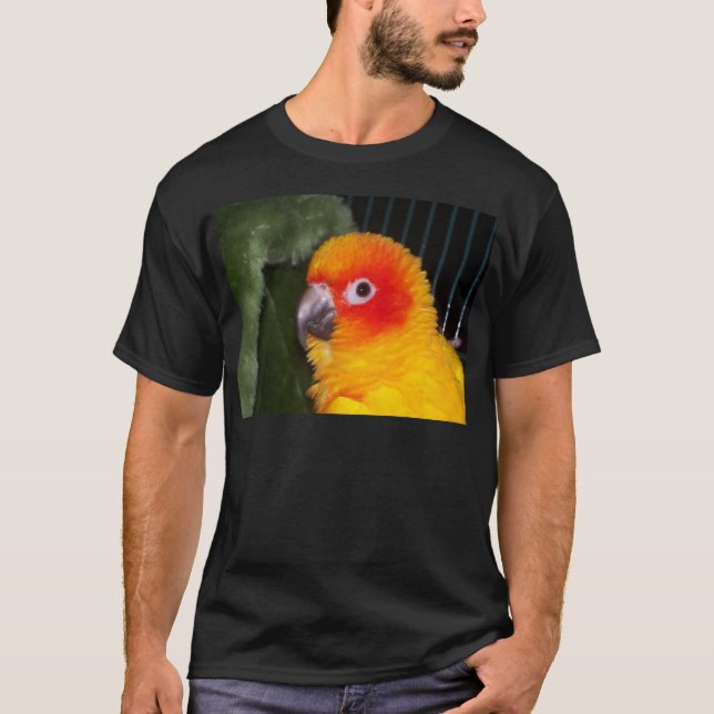 T-shirts Sun Conure (Frente)