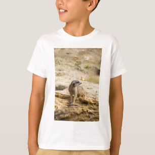T-shirts Suricata