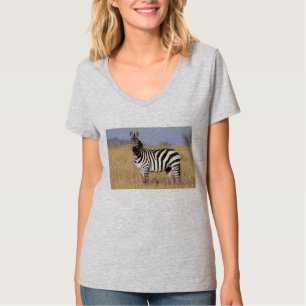 T-shirts T do poema das zebras e dos cavalos