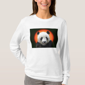 T-SHIRTS TAI SHAN