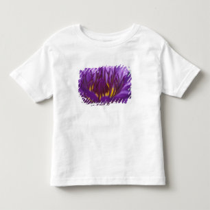 T-shirts Tailândia, Banguecoque, Lótus roxo e amarelo 2