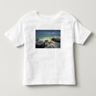 T-shirts Tailândia, Mar de Andamão, Ilha Ko Phi Phi, Cênica