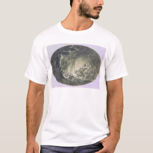 T-shirts Tamino levou a cabo por uma serpente gigante