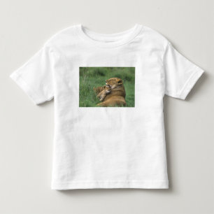 T-shirts Tanzânia, Cratera de Ngorongoro. Mãe de leão afric