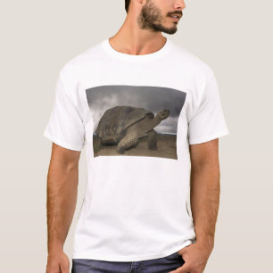 T-shirts Tartaruga gigante de Galápagos Geochelone
