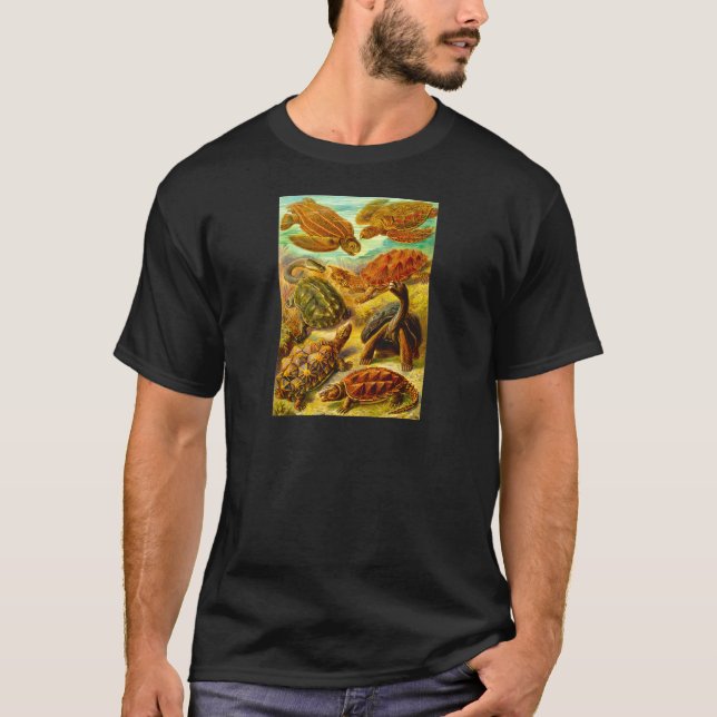 T-shirts Tartarugas (Frente)