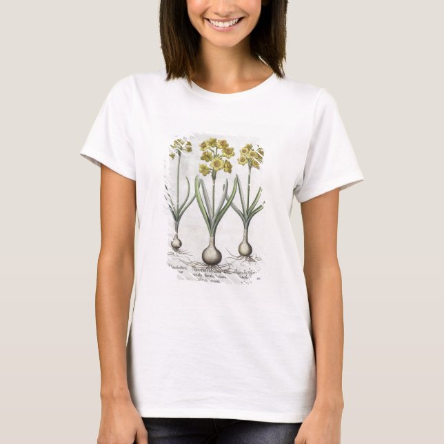 T-shirts Tazetta Narcissi, do "Hortus Eystettensis" (Frente)
