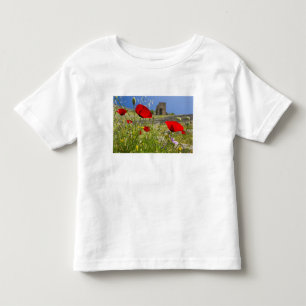 T-shirts Teatro antigo na Acrópole de Pérgamo
