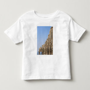 T-shirts Templo Jainista no Forte de Chittorgarh, Índia