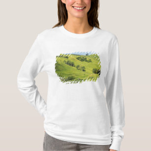 T-shirts Terra agrícola perto de Gisborne, Nova Zelândia