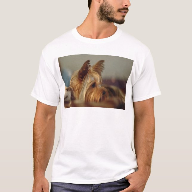 T-shirts Terrier de Yorkshire (Frente)