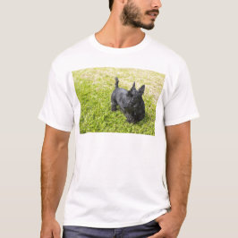 T-shirts Terrier Escocês