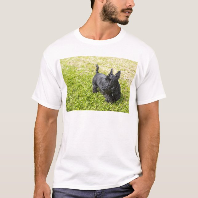 T-shirts Terrier Escocês (Frente)