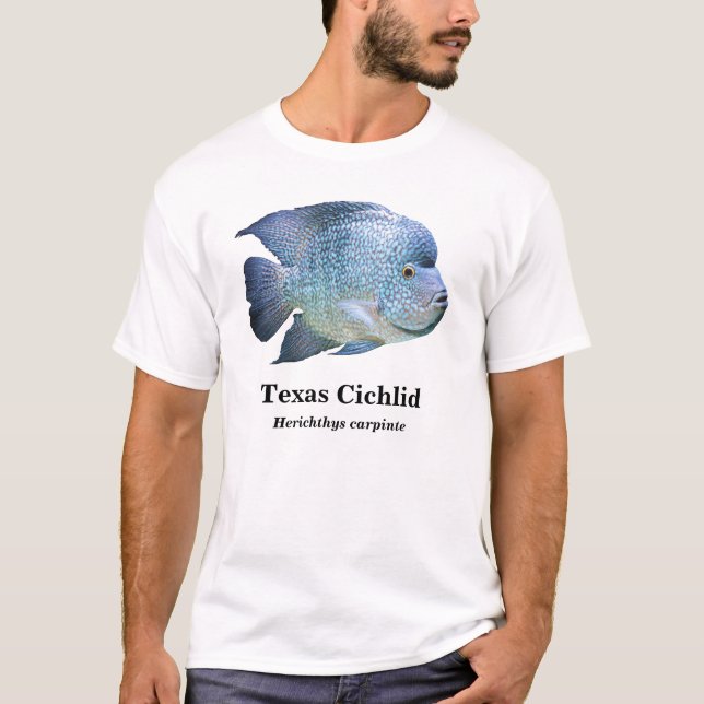 T-shirts Texas Cichlid , Herichthys carpintis (Frente)