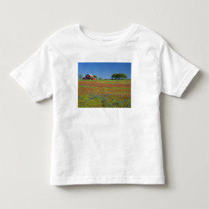T-shirts Texas, Texas Hill Country, pincel texano