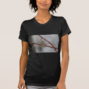 T-shirts Thorns
