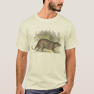T-shirts Thylacine/t-shirt tasmaniano do tigre