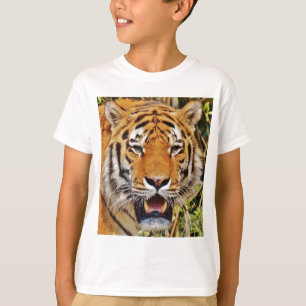 T-shirts Tigre