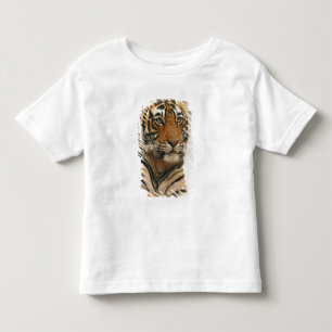 T-shirts Tigre-de-bengala-real sobre a rocha, Ranthambhor