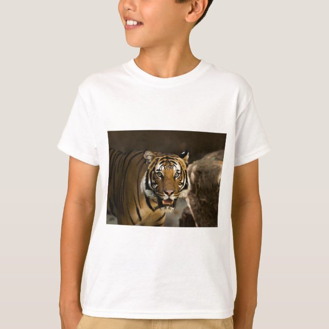 T-shirts Tigre Siberiano (Frente)
