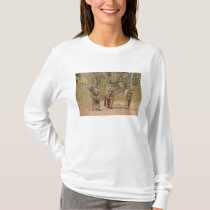 T-shirts Tigres de Bengala na pista, Ranthambhor