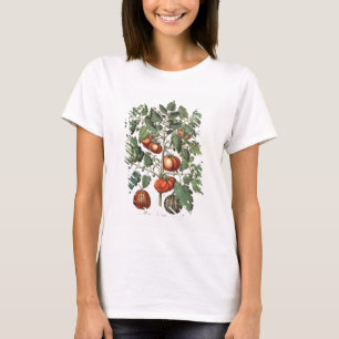 T-shirts Tomates e melões: luteo do fructu dos amoris