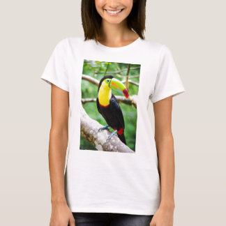 T-shirts Toucan bonito