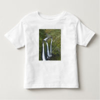 Triple Falls, Garganta do Rio Columbia